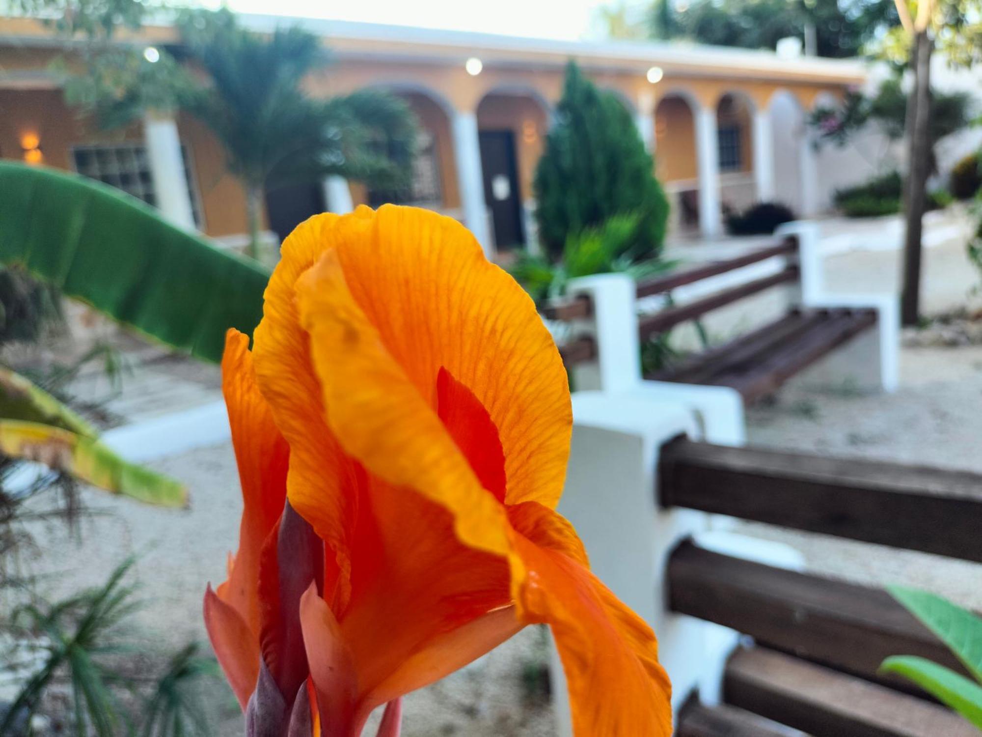 Villa Gabriela Celestun -Hotel & Restaurant Экстерьер фото